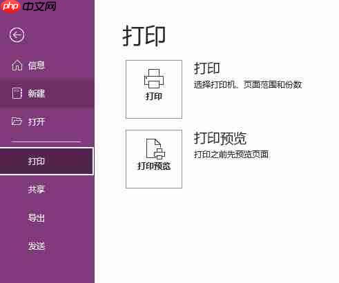 onenote导出pdf怎么分页 onenote导出PDF部分页面不清晰