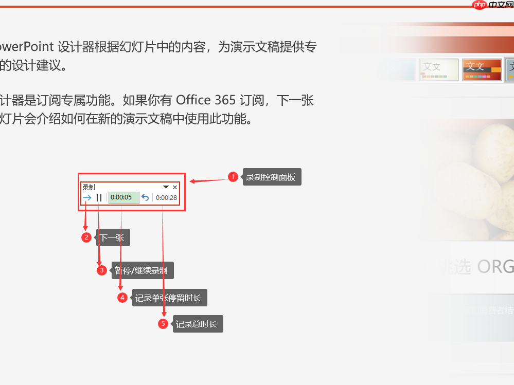 ppt自动播放怎么设置 ppt自动播放怎么暂停播放
