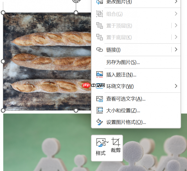 Word图片怎么排版整齐 Word图片怎么嵌入到指定位置