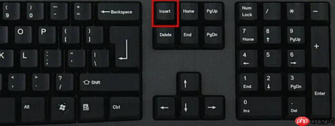 word打字后直接覆盖后面了是什么情况 word打字覆盖后面的字怎么取消