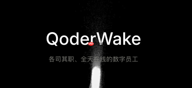 qoderwake新手必看:初次安装最容易忽视的三个细节