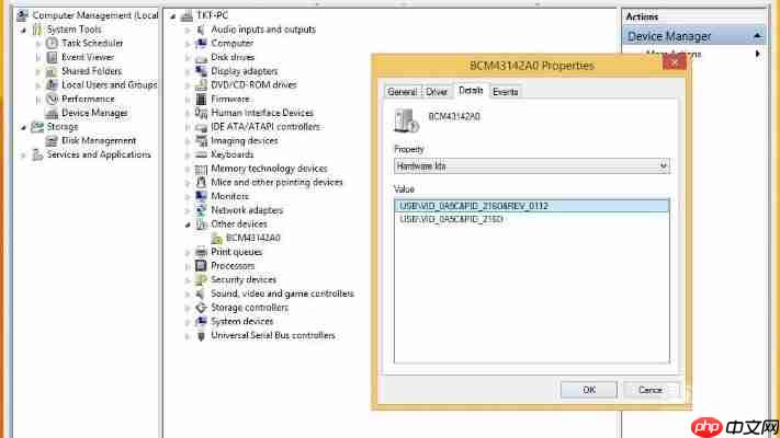 支持Win10/Win11免费安装