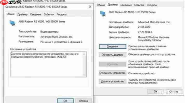 支持Win10/Win11免费安装