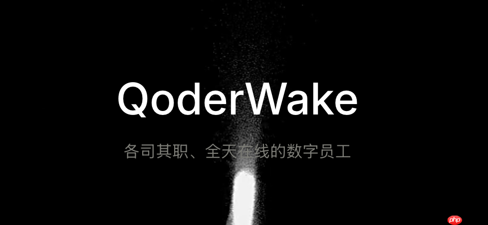 qoderwake开发者模式开启：解锁隐藏功能与更高级别的调试权限