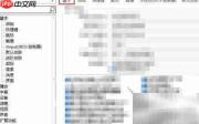 PotPlayer锁屏自动暂停设置