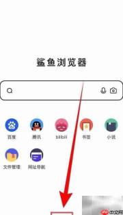 鲨鱼浏览器关闭自动解码