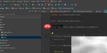 Android Studio 创建Tag方法