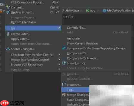 Android Studio 创建Tag方法