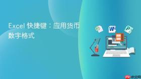 excel 快捷键：应用货币数字格式