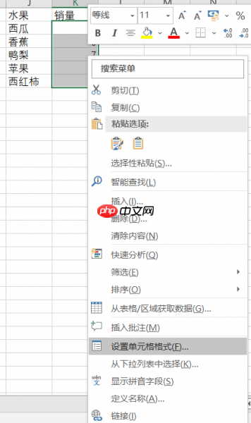 excel自定义格式用法汇总 excel自定义格式转换为文本