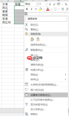 excel自定义格式用法汇总 excel自定义格式转换为文本