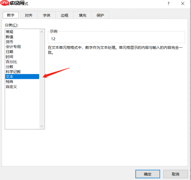 excel自定义格式用法汇总 excel自定义格式转换为文本
