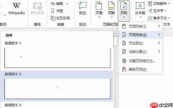 word插不了页码页码底端是灰色 word插不了页码怎么办