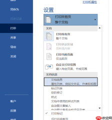 Word打印的5大技巧 Word打印怎么缩小比例在一张纸上