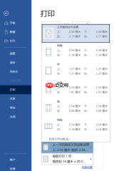 Word打印的5大技巧 Word打印怎么缩小比例在一张纸上