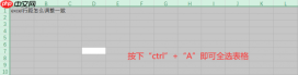 excel行距怎么调整一致 excel文字行距怎么调整