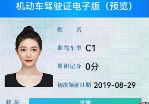 交管12123如何更换电子驾驶证照片