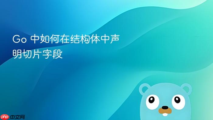 Go 中如何在结构体中声明切片字段