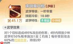 宗师之上少林宗师搭配与红极自选推荐