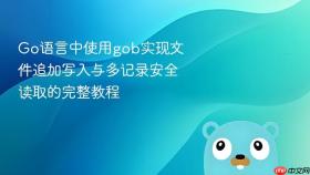 Go语言中使用gob实现文件追加写入与多记录安全读取的完整教程