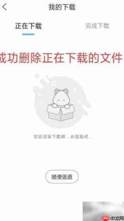 如何删除攀登小读者下载文件