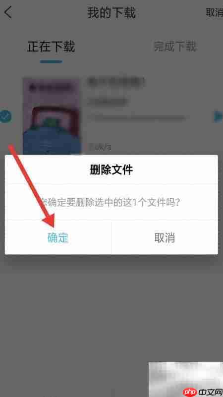 如何删除攀登小读者下载文件