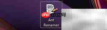 Ant Renamer用GUID随机命名