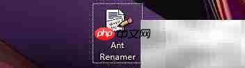 Ant Renamer启用日志设置方法