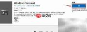 Windows Terminal 安装指南