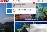 Windows Terminal 安装指南