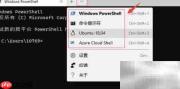 Windows Terminal 安装指南