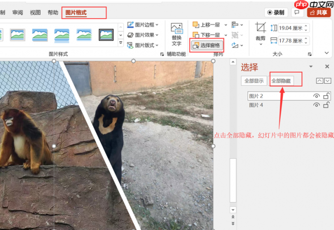 PPT隐藏图片怎么弄 ppt隐藏图片点击出现