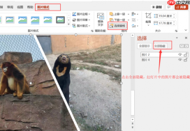 PPT隐藏图片怎么弄 ppt隐藏图片点击出现