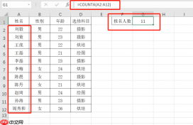 excel统计个数公式怎么用 excel统计个数去除重复项
