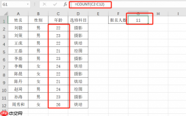excel统计个数公式怎么用 excel统计个数去除重复项