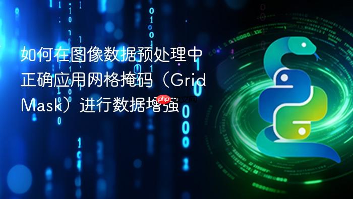 如何在图像数据预处理中正确应用网格掩码(GridMask)进行数据增强