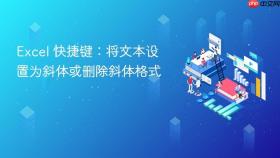 excel 快捷键：将文本设置为斜体或删除斜体格式
