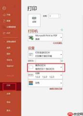 PPT打印怎么铺满整张a4纸不留白 PPT打印怎么一页打印多个