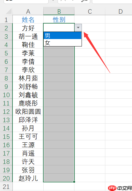 excel设置下拉菜单在哪里 excel设置下拉菜单且可多选