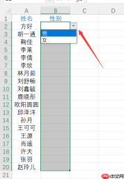excel设置下拉菜单在哪里 excel设置下拉菜单且可多选