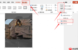 ppt填充图片后调整图片位置 ppt填充图片变形怎么办