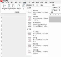 word页码为什么显示不出来 word页码不显示怎么办