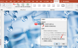 Office Plus PPT动画卡顿怎么办 Office Plus PPT怎么添加动画