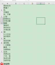 excel表自动换行内容自动全显示 Excel表自动换行后第二行开头怎么空格
