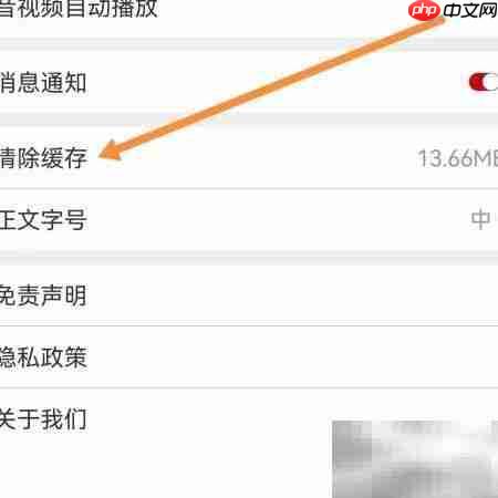 掌上岳池缓存清除方法