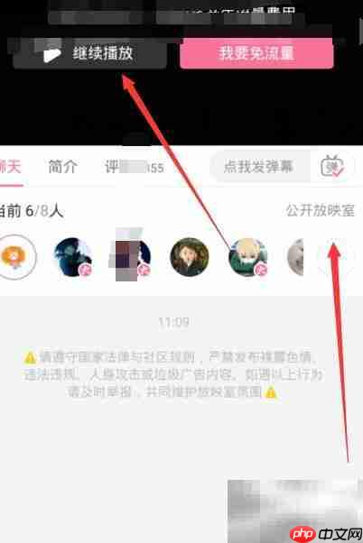 哔哩哔哩放映室使用指南