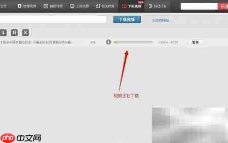 在线视频下载方法指南
