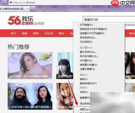 在线视频下载方法指南