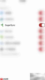 如何开启PDF导出SugarSync