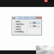 PS自定义形状技巧